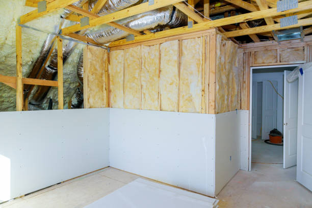 Best Insulation Removal  in Locust, NC