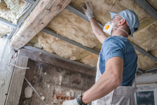 Best Spray Foam Insulation  in Locust, NC