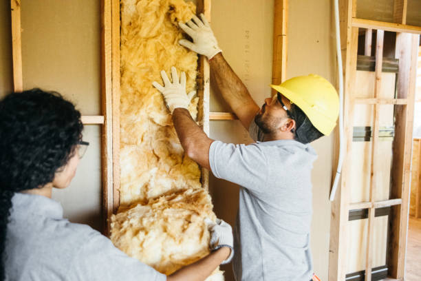 Best Spray Foam Insulation  in Locust, NC