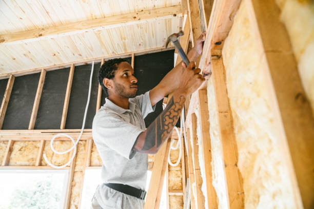 Best Insulation Inspection Services  in Locust, NC