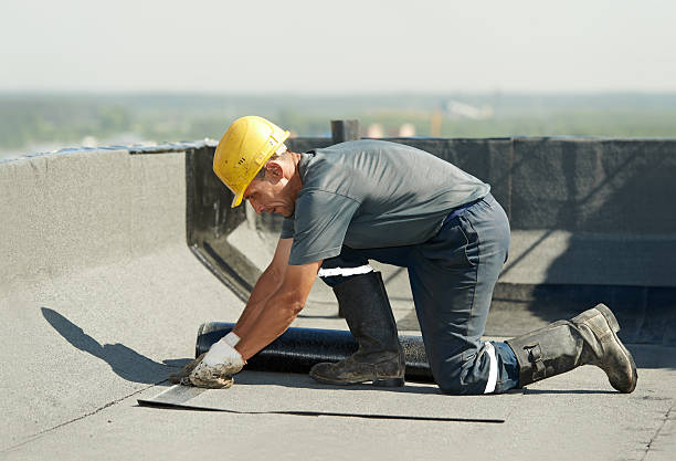 Best Home Insulation Services  in Locust, NC