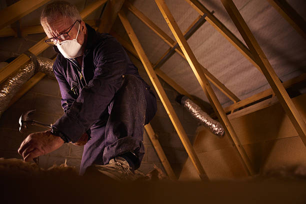 Best Insulation Replacement Services  in Locust, NC
