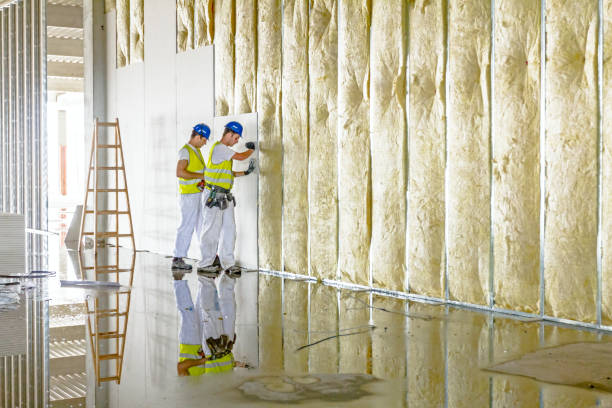 Best Affordable Insulation Services  in Locust, NC